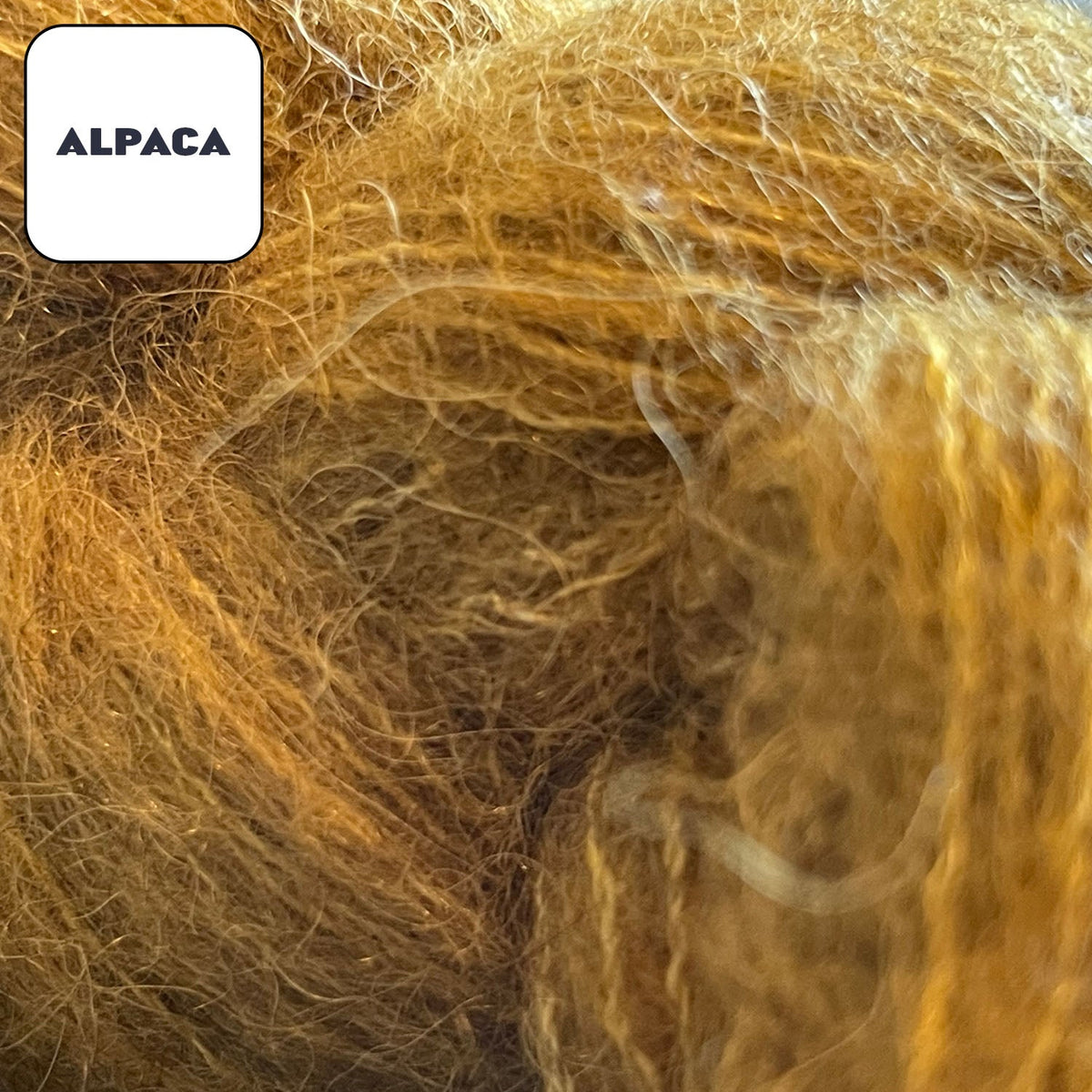 Alpaca